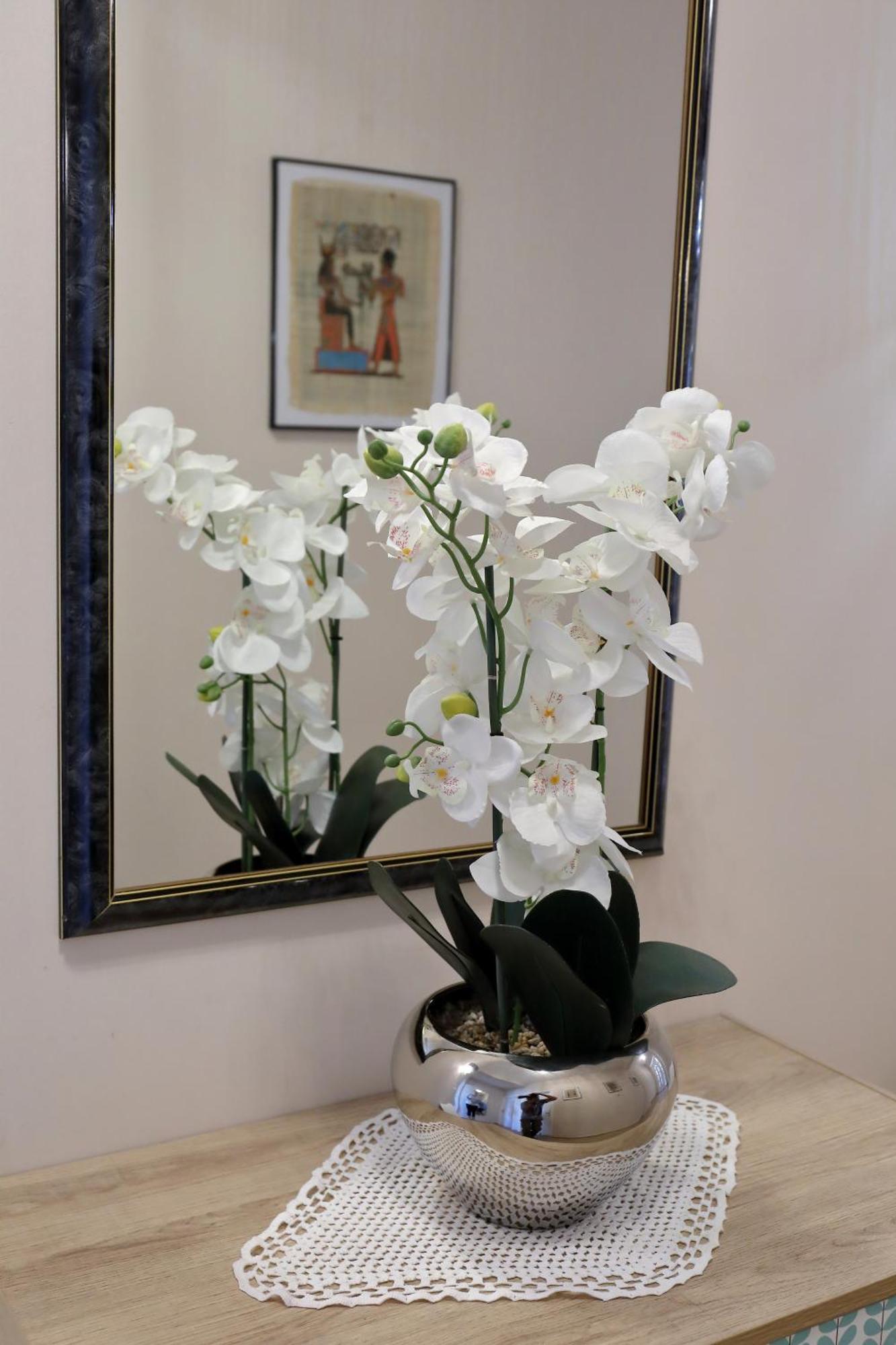 Aqua Appartement Bibinje